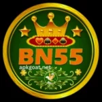 BN55 Game