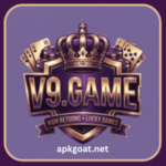 V9 Game