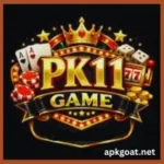PK11 Game
