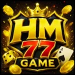 HM77 Game